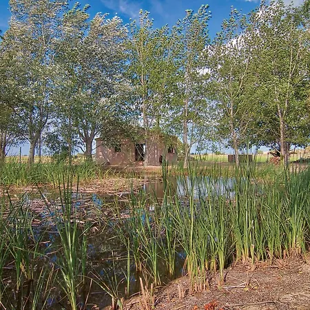 Holiday home La Illeta Deltebre