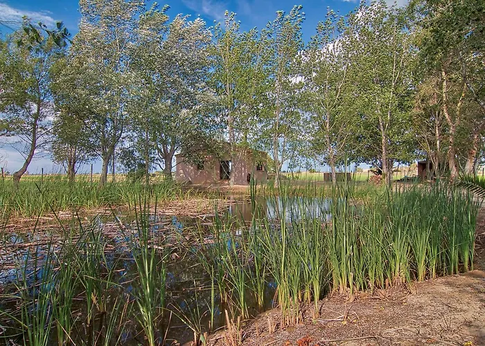 Casa vacanze La Illeta Deltebre